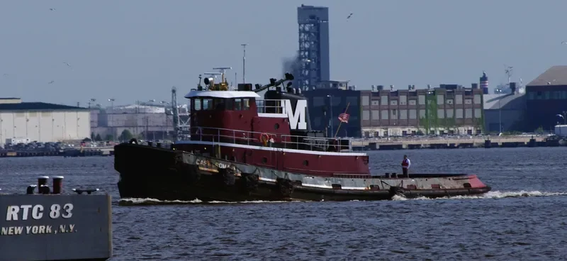 CAPE ROMAIN General Cargo IMO 7908134 photo 8