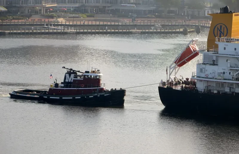 CAPE ROMAIN General Cargo IMO 7908134 photo 9