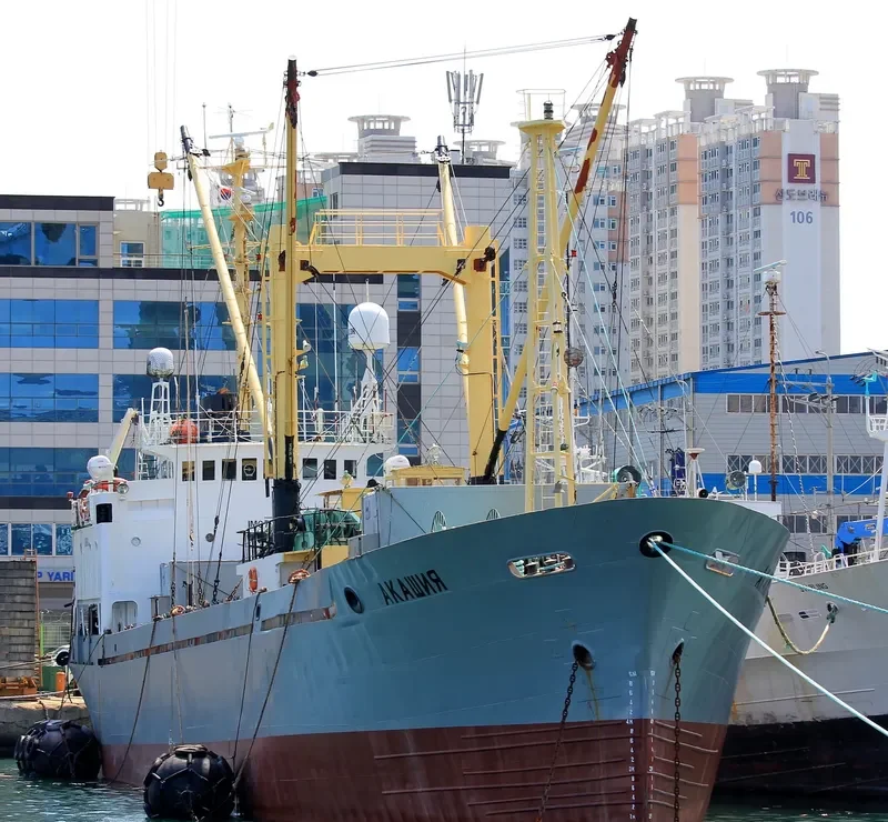 AKASHIYA General Cargo IMO 7908562 photo 2