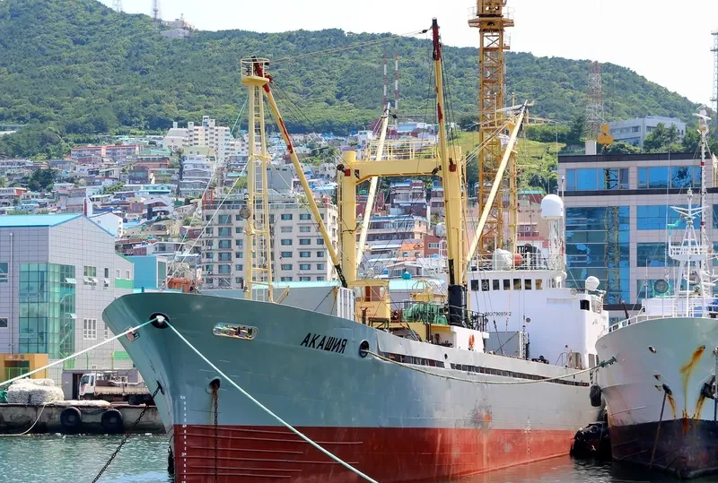 AKASHIYA General Cargo IMO 7908562 photo 3