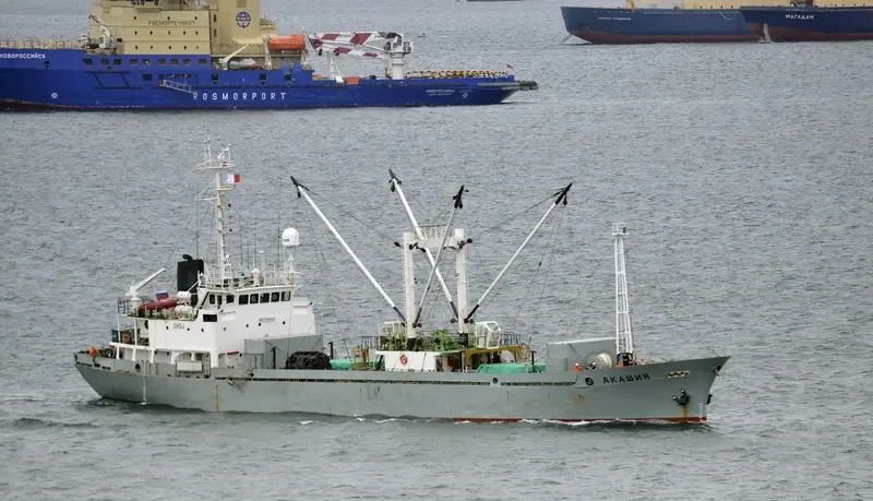 AKASHIYA General Cargo IMO 7908562 photo 10