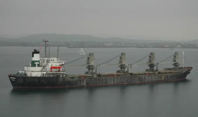 MARIANELA Bulk Carrier IMO 7908574