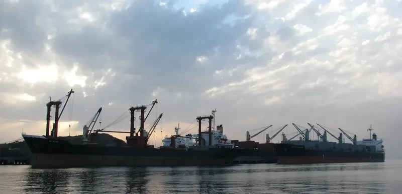 HUA HUI Bulk Carrier IMO 7908756
