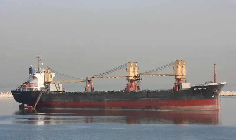 BAY SUCCESS General Cargo IMO 7908811