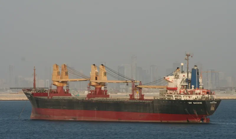 BAY SUCCESS General Cargo IMO 7908811 photo 2