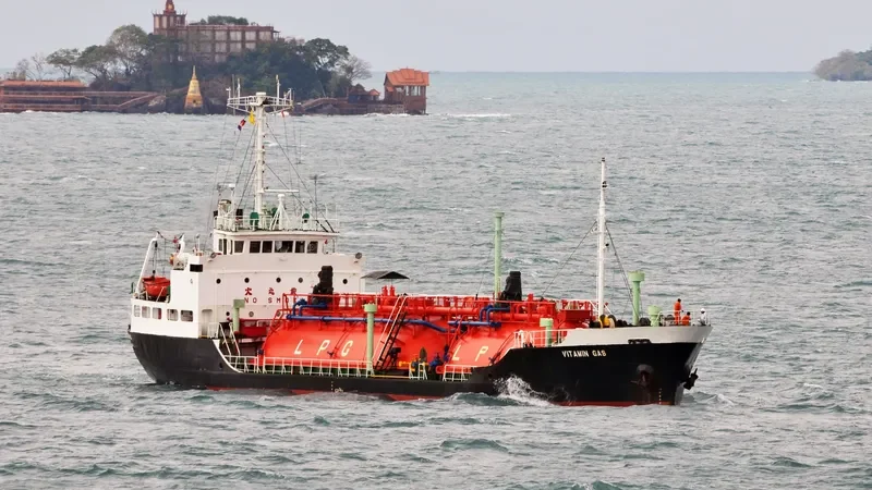 VITAMIN GAS General Cargo IMO 7909011