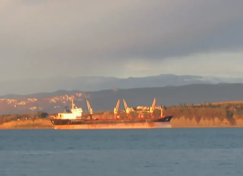 PANAGIA Bulk Carrier IMO 7909891