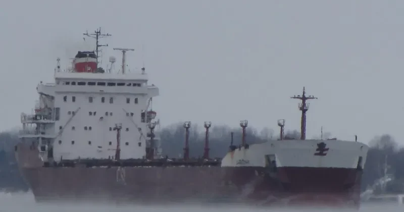 SAGUENAY Bulk Carrier IMO 7910175 photo 5