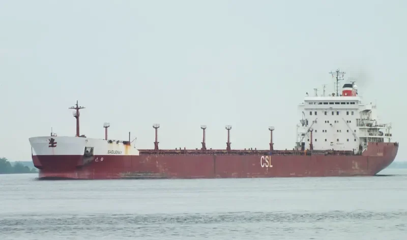SAGUENAY Bulk Carrier IMO 7910175 photo 6