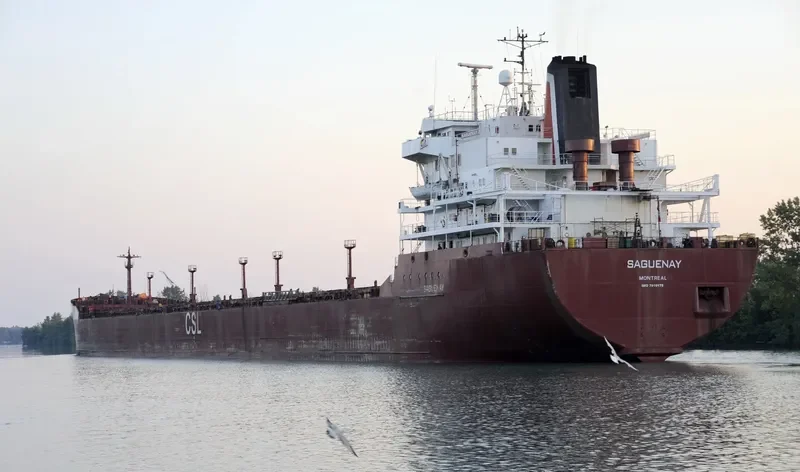 SAGUENAY Bulk Carrier IMO 7910175 photo 7