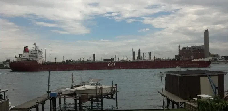 SAGUENAY Bulk Carrier IMO 7910175 photo 8