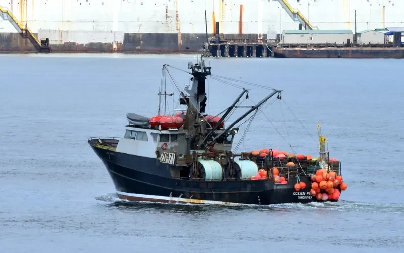 OCEAN PEARL General Cargo IMO 7910187 photo 2