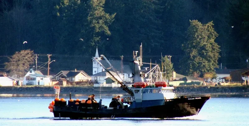 OCEAN PEARL General Cargo IMO 7910187 photo 4