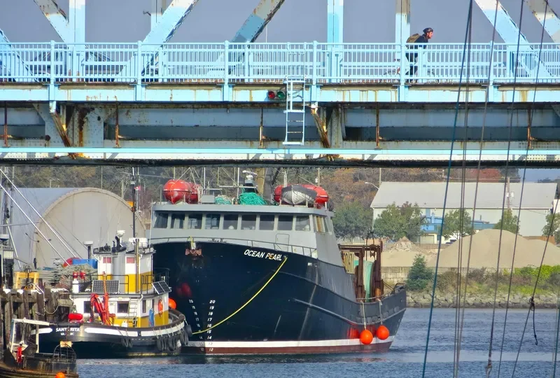 OCEAN PEARL General Cargo IMO 7910187 photo 5