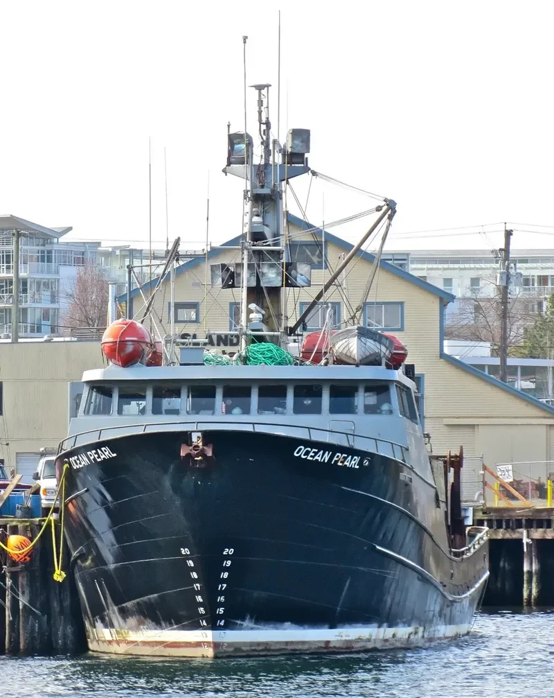 OCEAN PEARL General Cargo IMO 7910187 photo 7