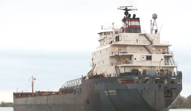 ALGOWOOD Bulk Carrier IMO 7910216
