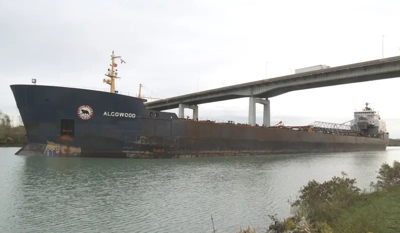 ALGOWOOD Bulk Carrier IMO 7910216 photo 2