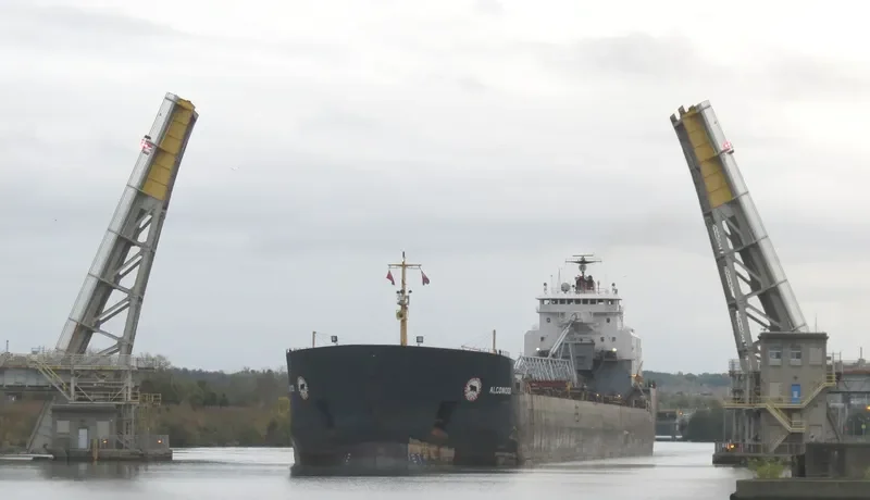 ALGOWOOD Bulk Carrier IMO 7910216 photo 3