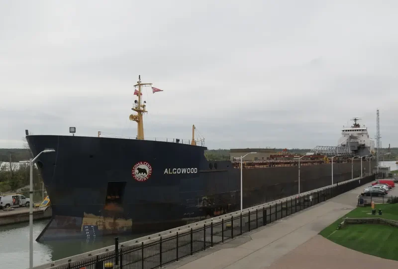 ALGOWOOD Bulk Carrier IMO 7910216 photo 4