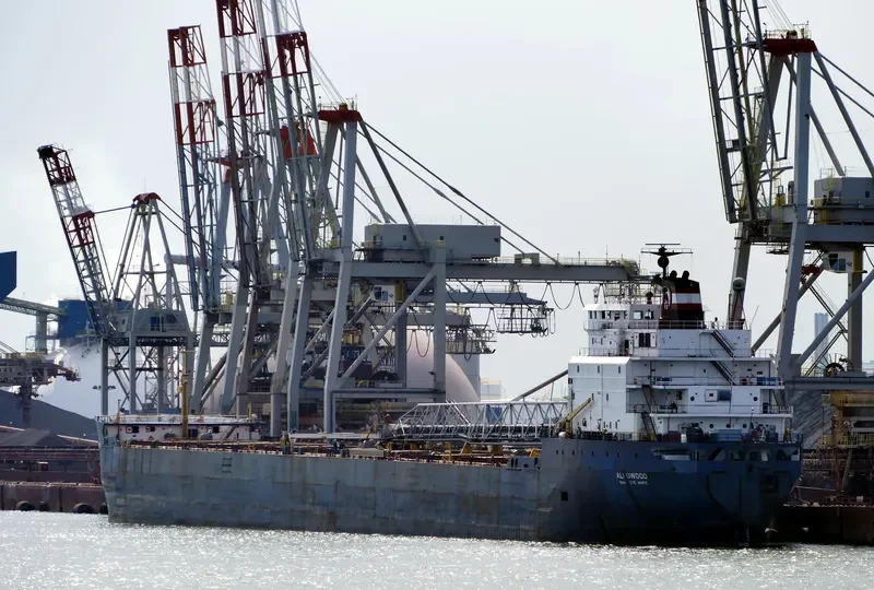 ALGOWOOD Bulk Carrier IMO 7910216 photo 7