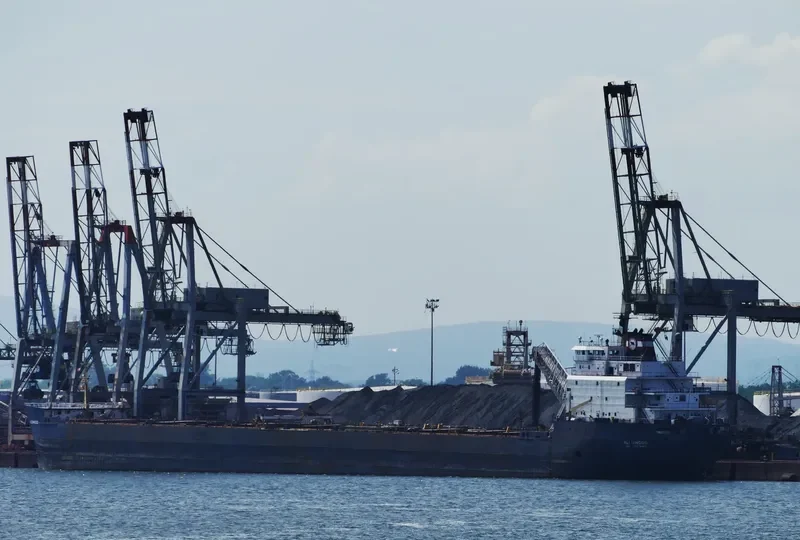 ALGOWOOD Bulk Carrier IMO 7910216 photo 9
