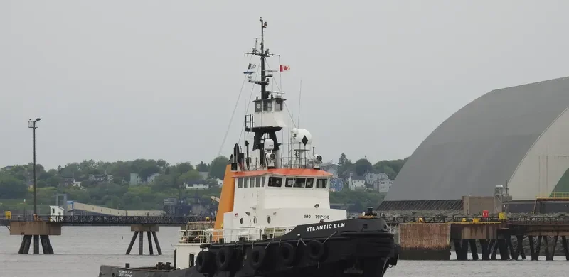 ATLANTIC ELM General Cargo IMO 7910230