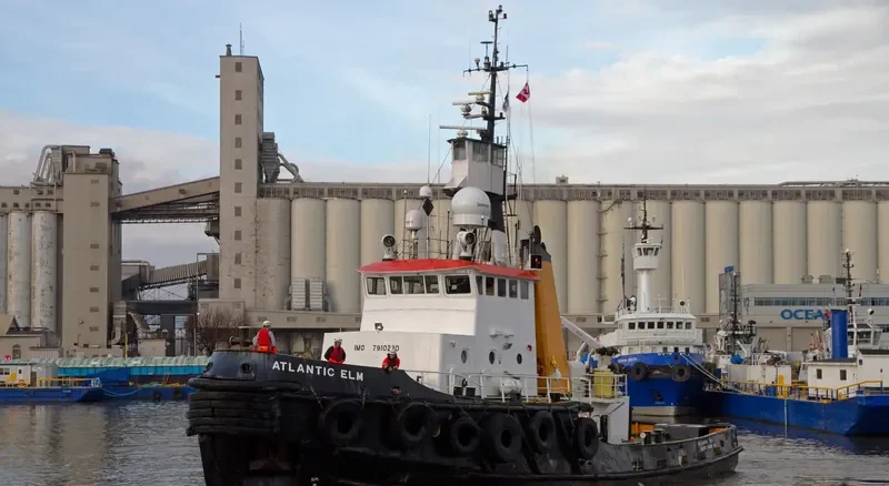ATLANTIC ELM General Cargo IMO 7910230 photo 6