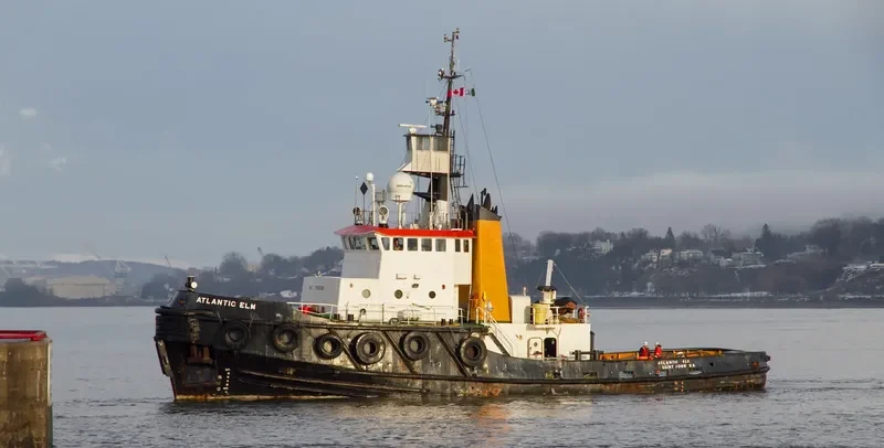 ATLANTIC ELM General Cargo IMO 7910230 photo 7
