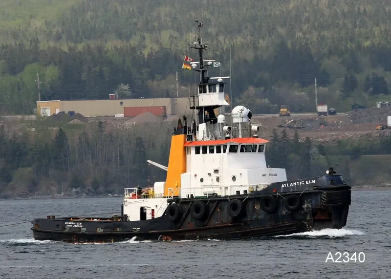 ATLANTIC ELM General Cargo IMO 7910230 photo 10