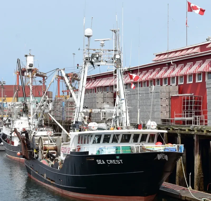 SEA CREST Fishing Vessel IMO 7910254 photo 3