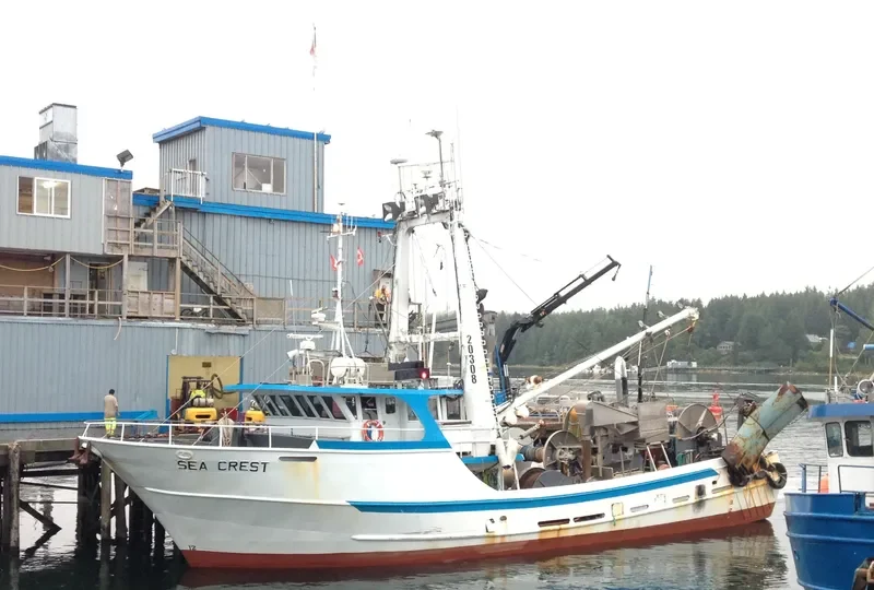 SEA CREST Fishing Vessel IMO 7910254 photo 10