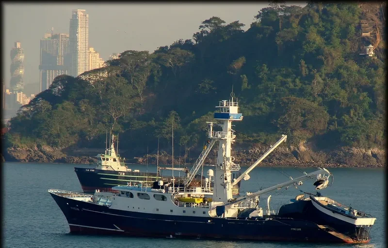DONA LUCIA General Cargo IMO 7910670 photo 3