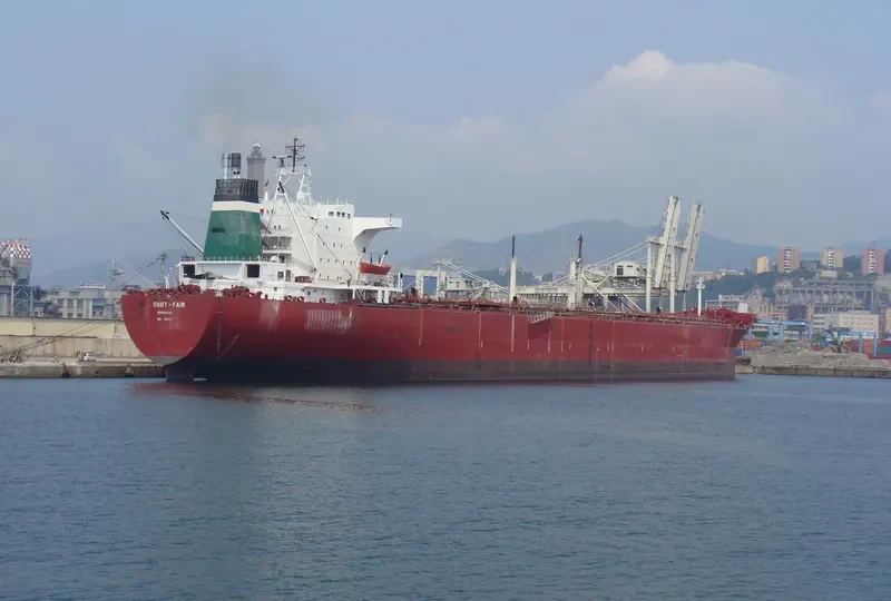 SWIFT FAIR Bulk Carrier IMO 7910773 photo 3