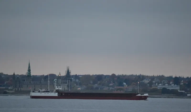 IRIS 1 General Cargo IMO 7910838 photo 6