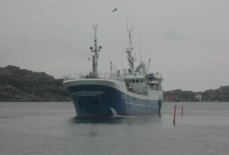 ALLOTF 3 General Cargo IMO 7911026 photo 2