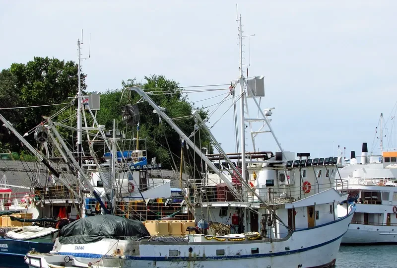 MOLO Fishing Vessel IMO 7912147 photo 2