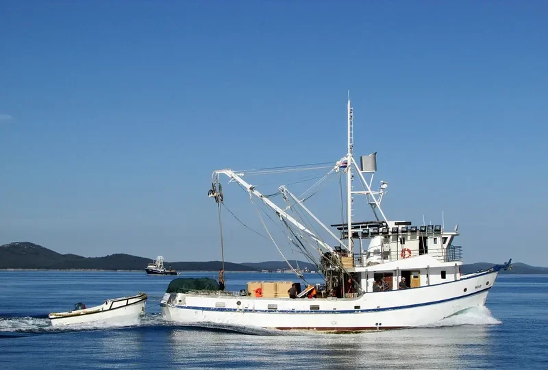 MOLO Fishing Vessel IMO 7912147 photo 4