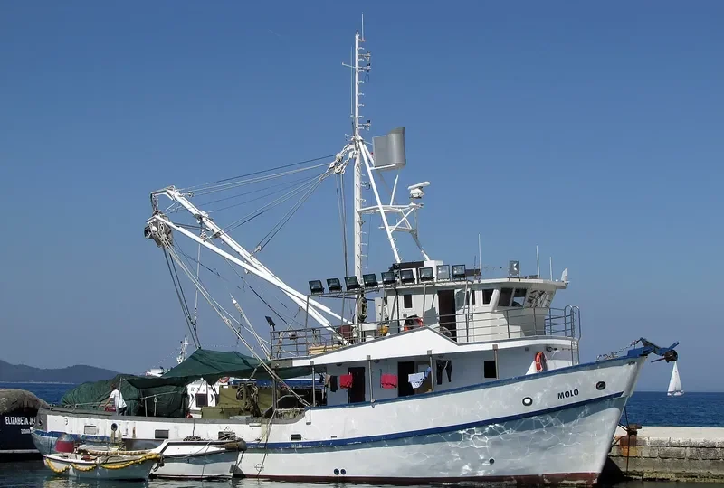 MOLO Fishing Vessel IMO 7912147 photo 5