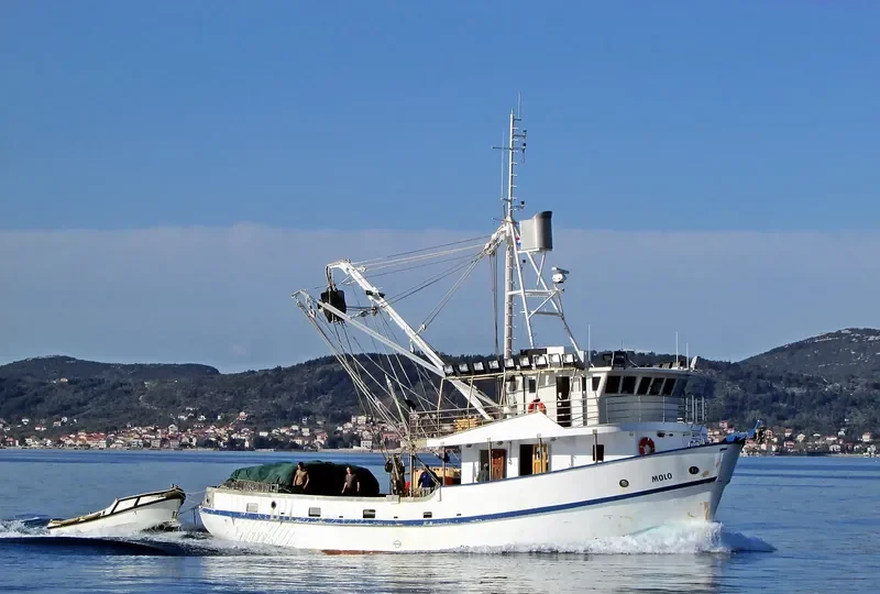 MOLO Fishing Vessel IMO 7912147 photo 6