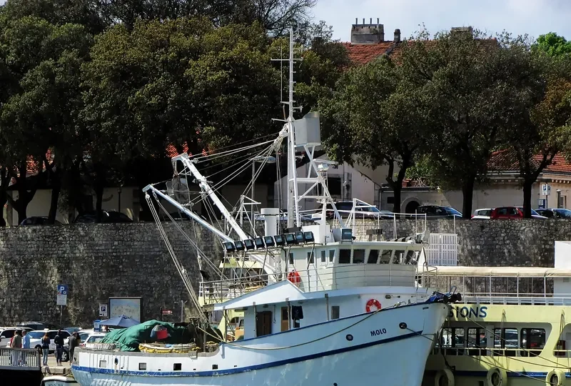 MOLO Fishing Vessel IMO 7912147 photo 7