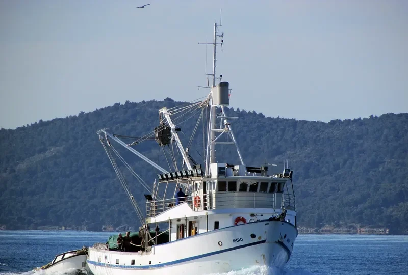 MOLO Fishing Vessel IMO 7912147 photo 8