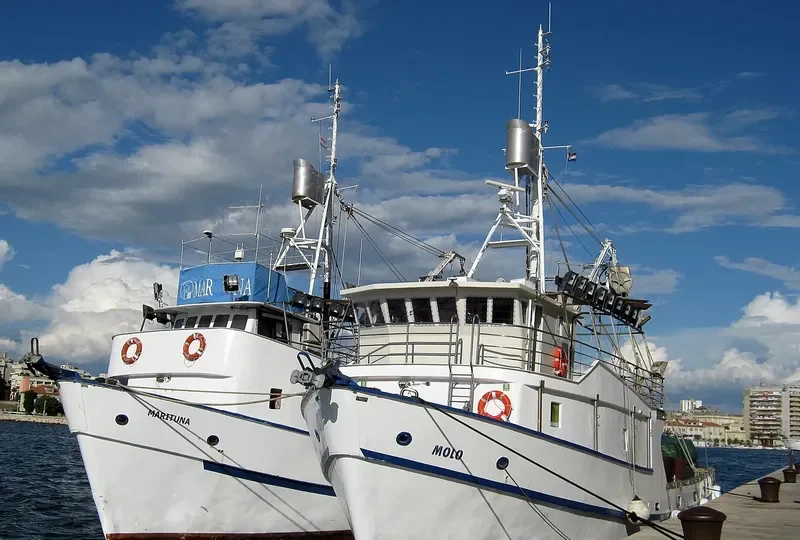 MOLO Fishing Vessel IMO 7912147 photo 9