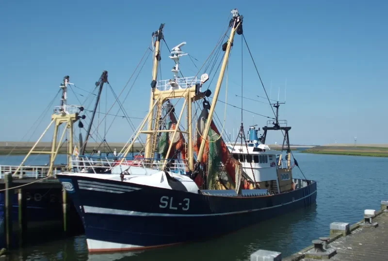 WILLIAM OF LADRAM Fishing Vessel IMO 7912214 photo 8