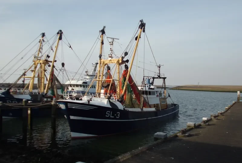 WILLIAM OF LADRAM Fishing Vessel IMO 7912214 photo 9