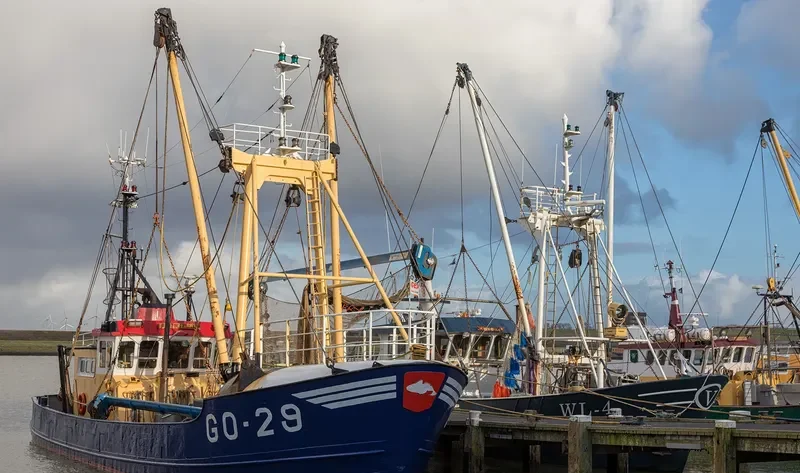 GO 29JAN MARIA Fishing Vessel IMO 7912410
