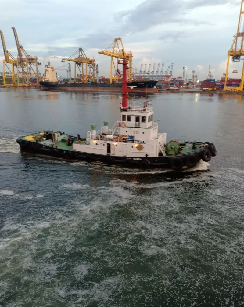 NS 311 Tug Boat IMO 7913684