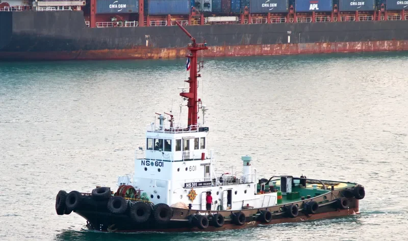 NS 311 Tug Boat IMO 7913684 photo 2
