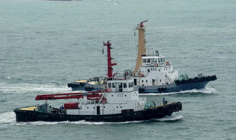 NS 311 Tug Boat IMO 7913684 photo 3