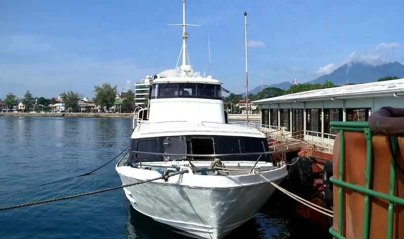 DELTA III Passenger Ship IMO 7913945 photo 2