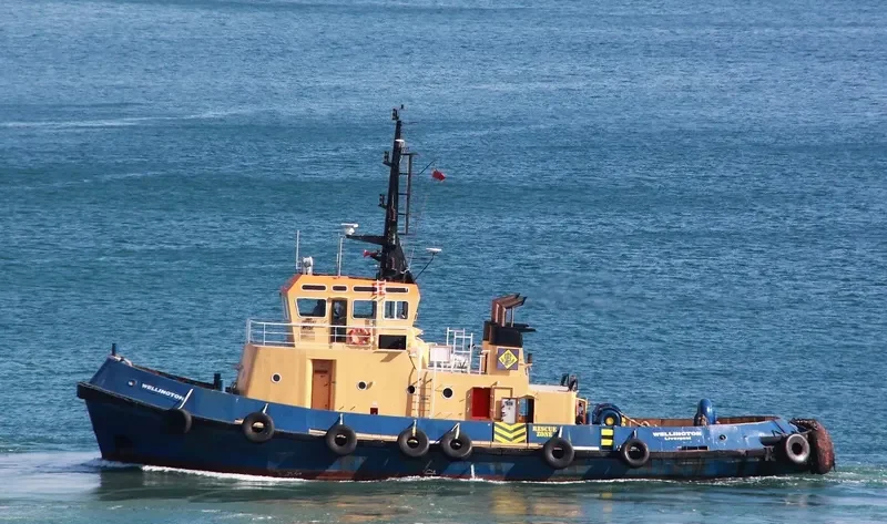 WELLINGTON Tug Boat IMO 7915151